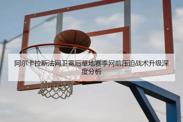 阿尔卡拉斯法网卫冕后草地赛季网前压迫战术升级深度分析